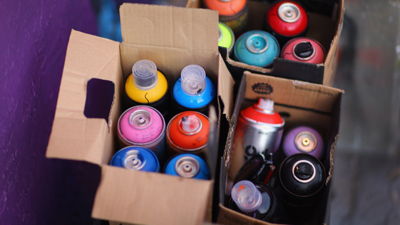 carboard boxes with spray paints