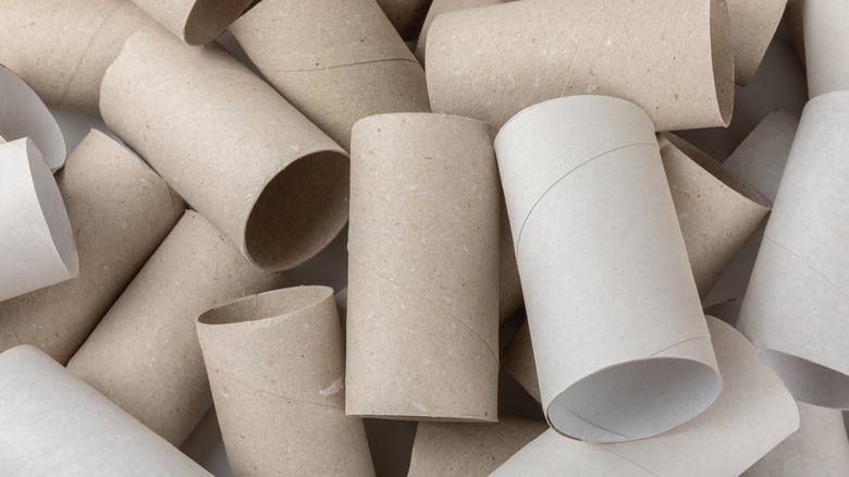 Pile of bare toilet paper rolls