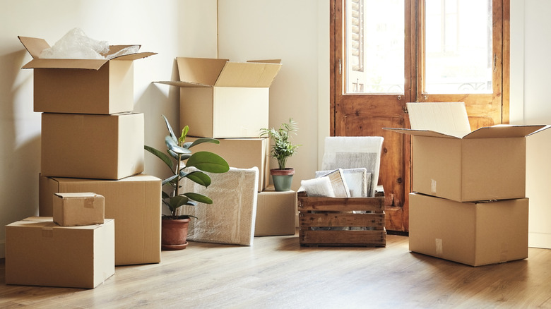 A stack of cardboard boxes along with some pot plants near the front door of a house