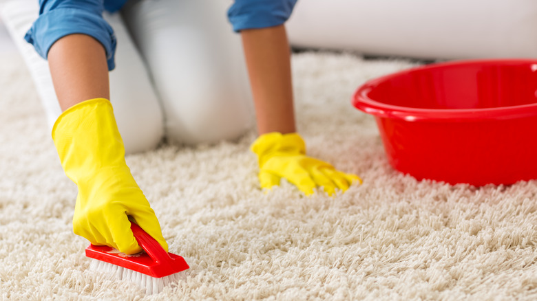 Scrubbing beige carpet