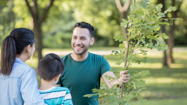 Family with a small oak tree