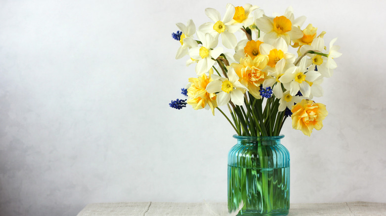 Daffodils in green vase
