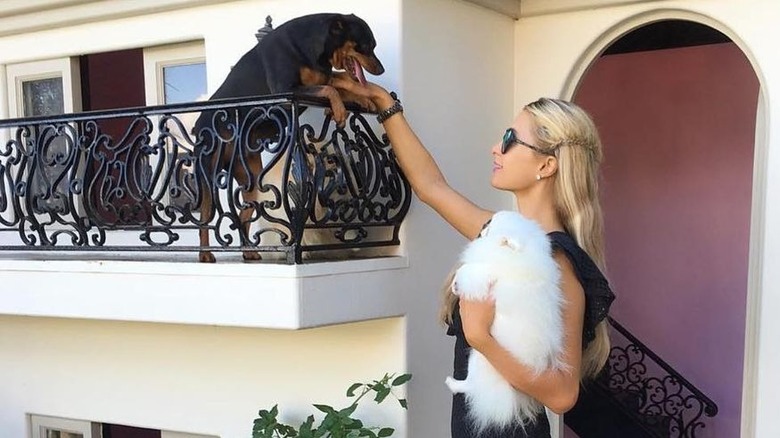 Paris Hilton's dog mansion 