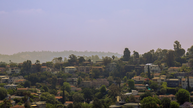 The Silverlake Hills