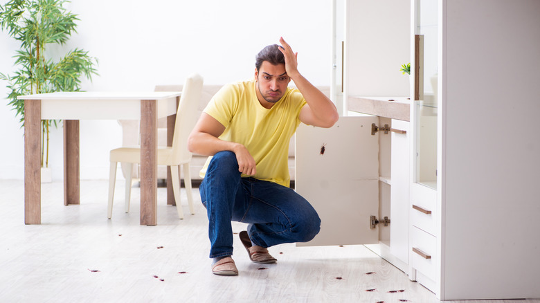 man surrounded by cockroaches