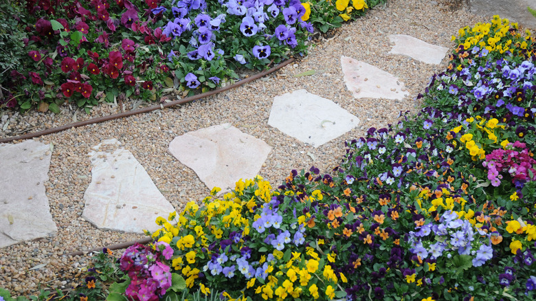 Stone pathway surrounded by loose rocks and flowers