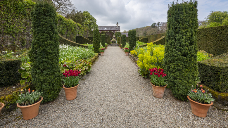 A gravel path leading through a garden