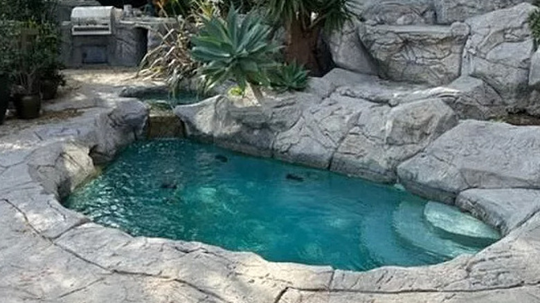 Seacrest's pool