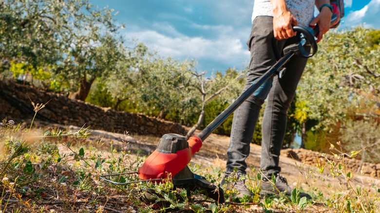 Cutting weeds using a cordless string trimmer