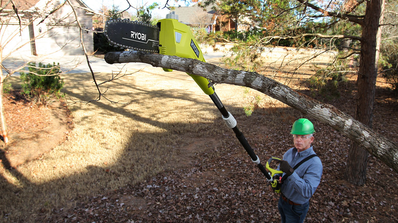 Ryobi tree trimmer