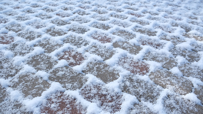 Patio paver stones covered with snow