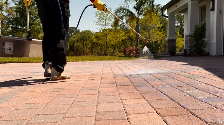 Person sealing pavers