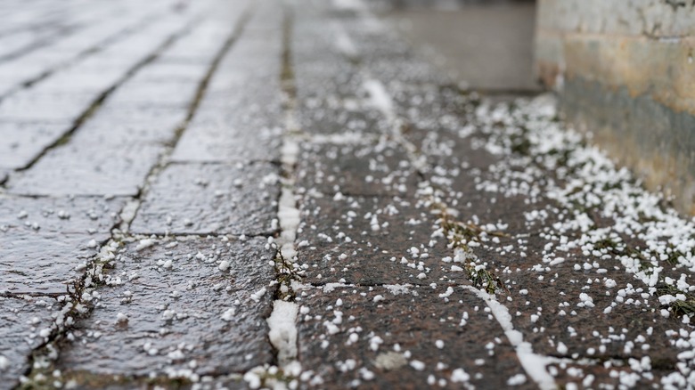 Deicing salt on paver surface