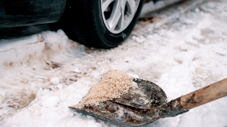 Rock salt in shovel on snow