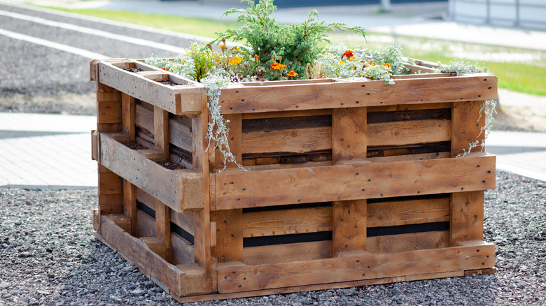 wooden pallet garden bed