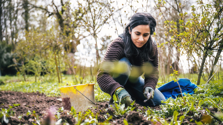 Woman picking weeds