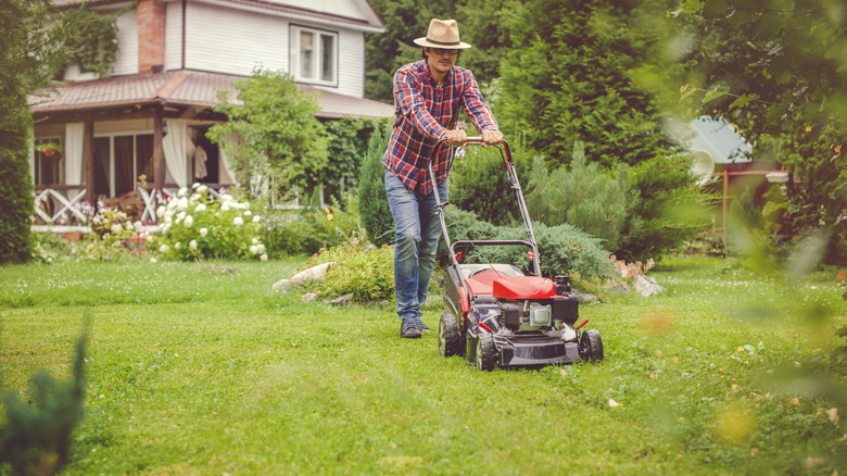 Man mowing lawn