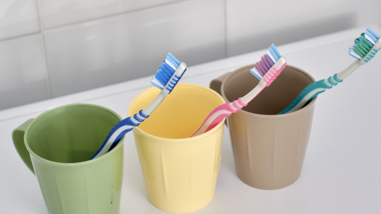 Three coffee mugs holding toothbrushes
