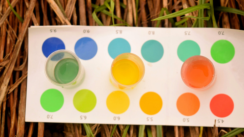 A selection of test tubes with different colored liquid to check pH level of soil