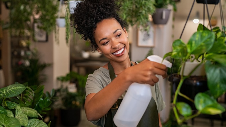 Woman spraying houseplants