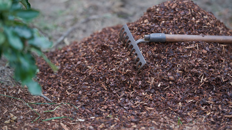 Mulching soil