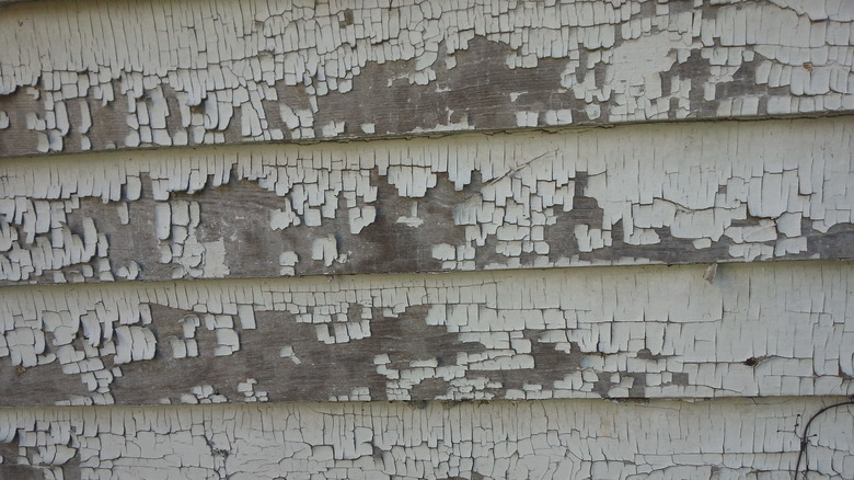 alligorating lead paint