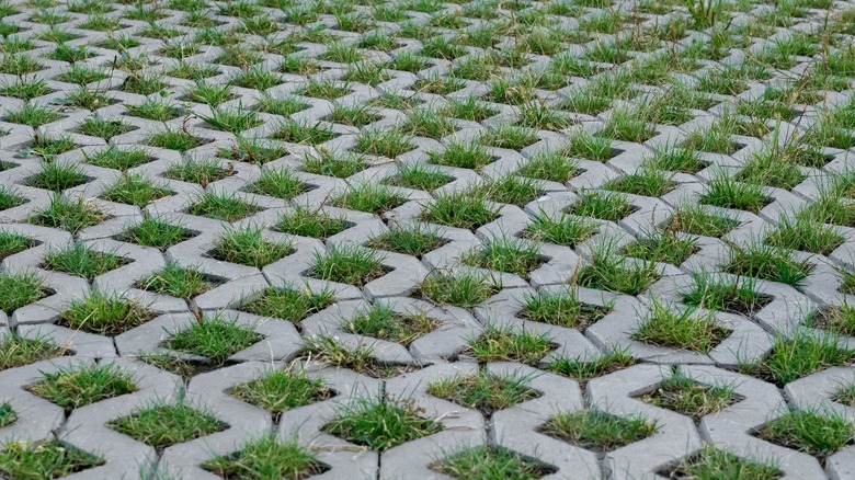 Close-up of a grass paver driveway