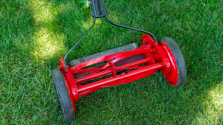 reel push mower