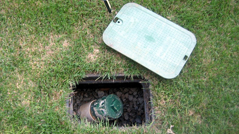 Sewer cleanout under green cover