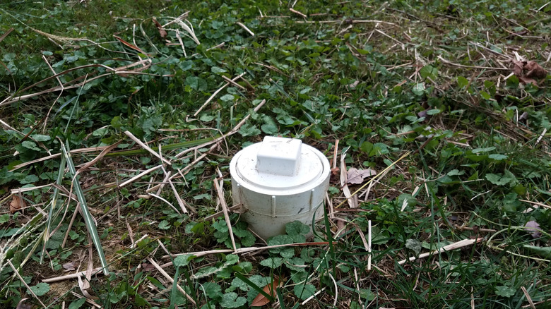 Sewer cleanout in grassy lawn