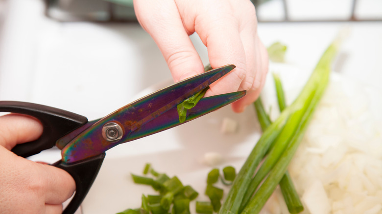 person using kitchen shears