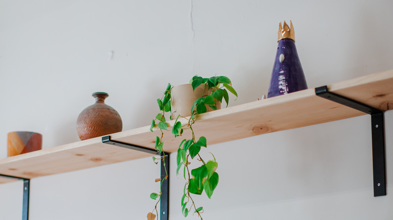 A high shelf with decorative items on it including a plant and vase