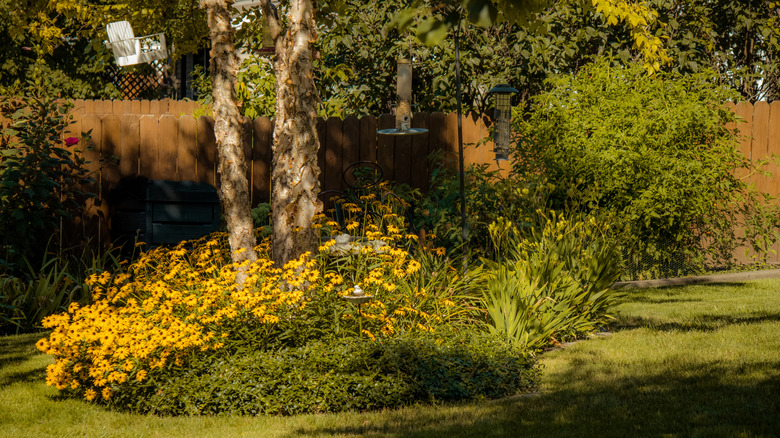 A brown fence that blends into the background of a yard