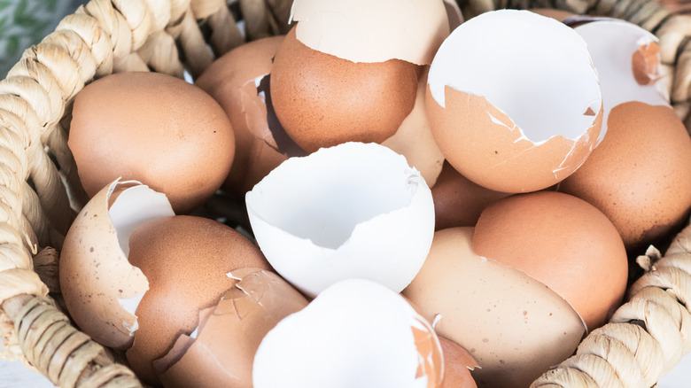 eggshell halves in a basket