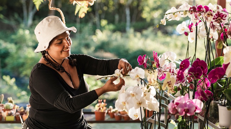 woman caring for orchids