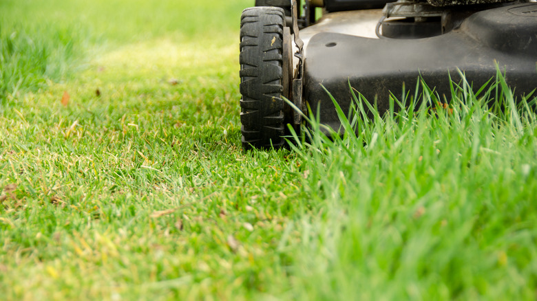 lawnmower mowing grass