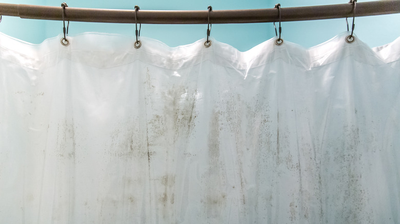 Mold on white shower curtain 