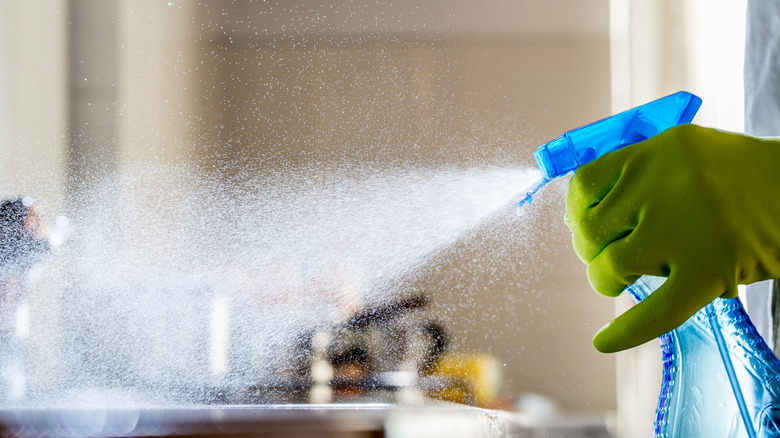 Homeowner spraying cleaner onto countertop