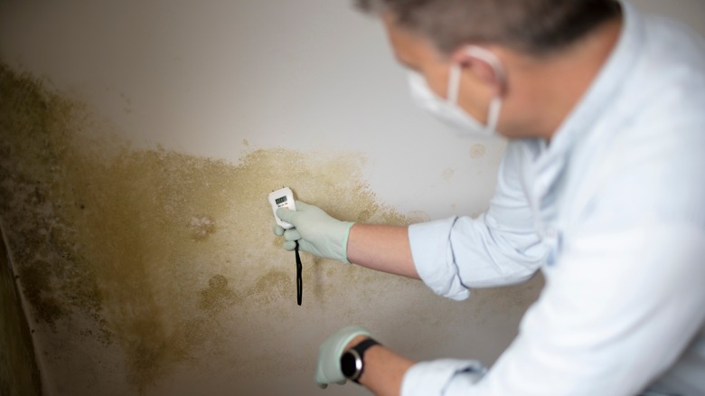 A man wears a face mask and gloves while measuring moisture in a crawl space