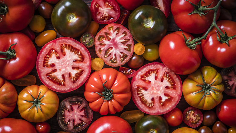 types of colorful tomatoes