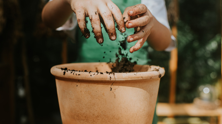 adding soil to a planter