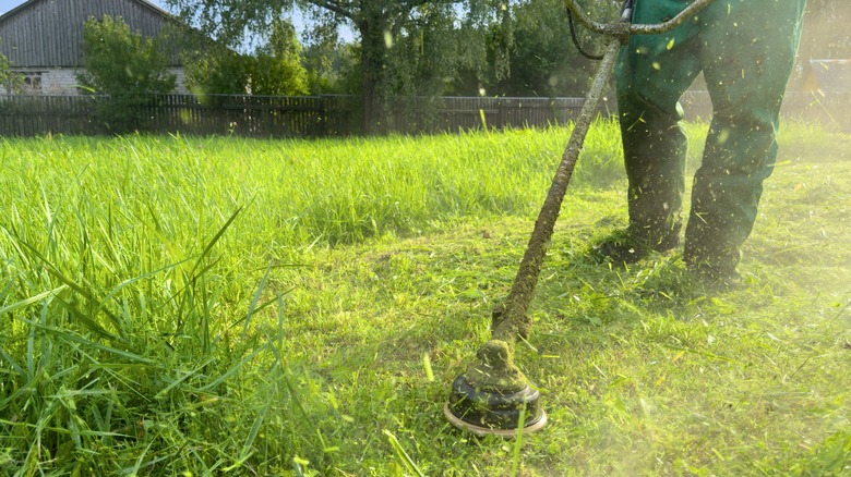 using weed whacker