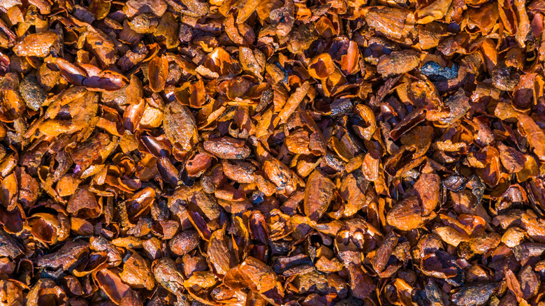 Pile of cocoa hull mulch