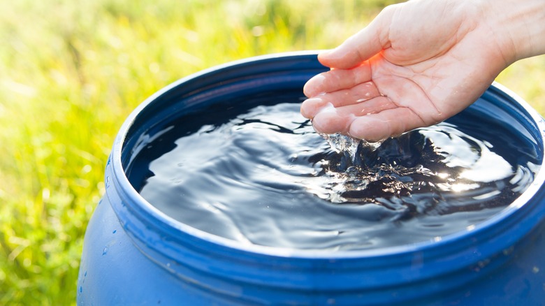 Rainwater barrel 