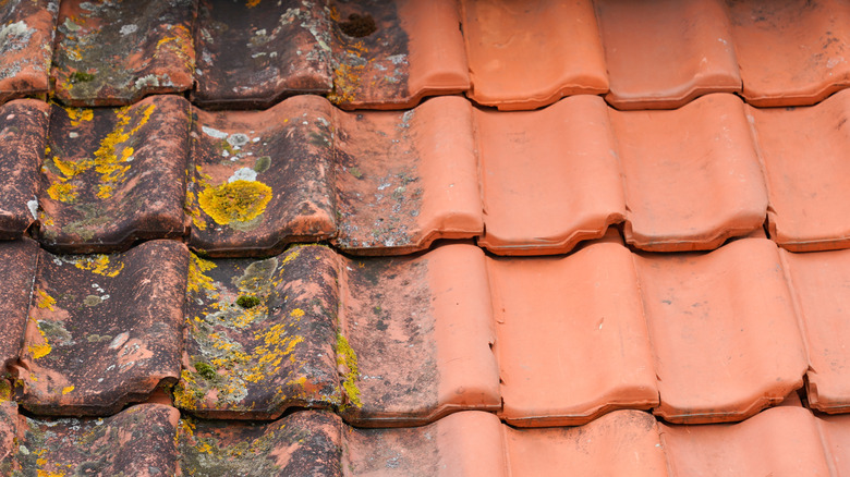 Before-and-after shot of roof cleaning