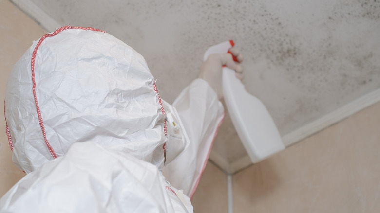 cleaning black mold