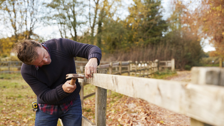 Man repairing fence DIY