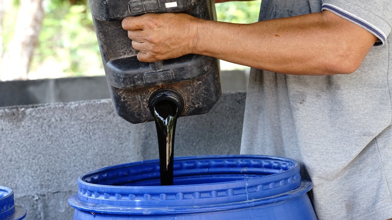 Person pouring molasses into a compost bin