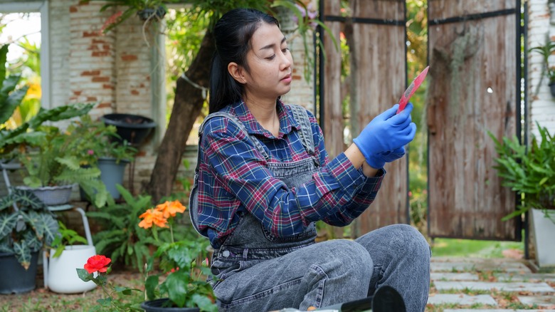 Woman reading seed packet in garden