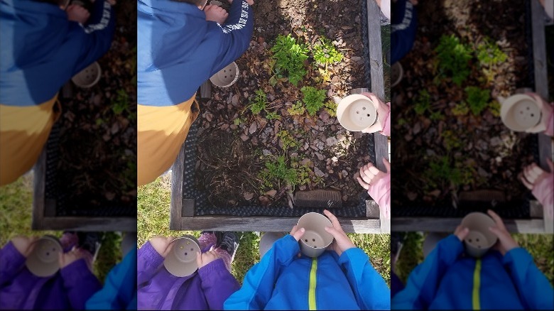 children holding biodegradable plant pots